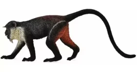 Collecta Mačkodan Dianin