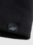 Pánska čiapka 4F L