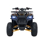 Mamido Detská benzínová štvorkolka RamiGO DISCOVERER 125CC čierno-oranžová