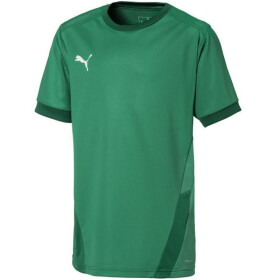 Puma teamGOAL 23 Jersey Jr 704160 05 tričko