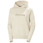 Helly Hansen Core Graphic Hoodie W 54239 034 XL