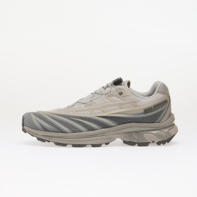 Tenisky Salomon XT-Evo Alloy/ Castlerock/ Ftw Silver EUR 43 1/3