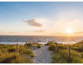 Obraz na plátne Piesočná cesta k moru, 61x46 cm%