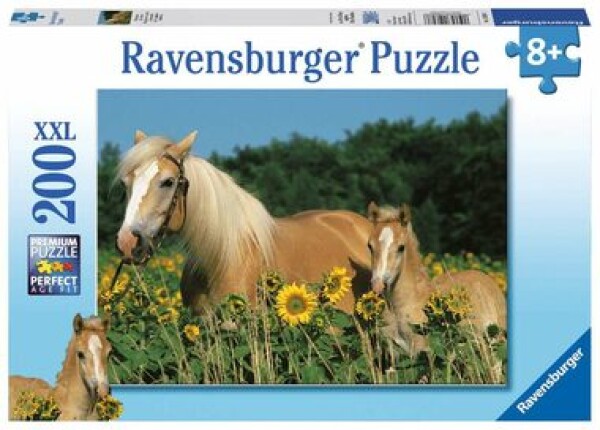 Ravensburger Konské šťastie