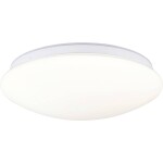 Paulmann 75407 Leonis II Dämmerungsgesteuerter Bewegungsmelder (HF) stropné svetlo LED 16.5 W biela; 75407