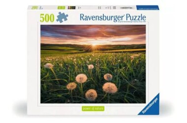 Ravensburger Púpavy v západu slnka