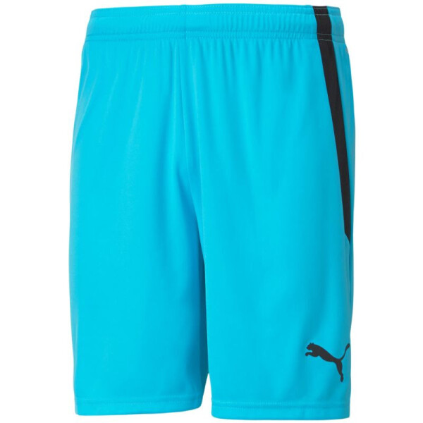Šortky Puma teamLIGA M 704924 40 XL
