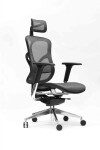 Spinergo Business šedá