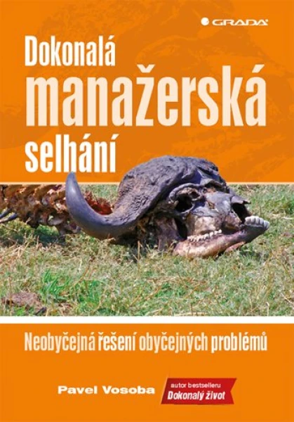 Dokonalá manažerská selhání, Vosoba Pavel