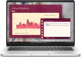 Dell Pro 14 PC14250 Core 3 100U / 8 GB / 512 GB / W11 Pro (BTO003_PC14250_EMEA)