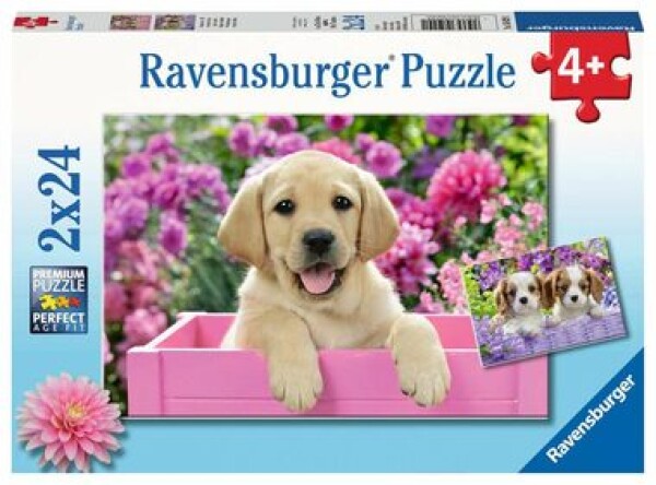 Ravensburger Kúzelná šteňatá