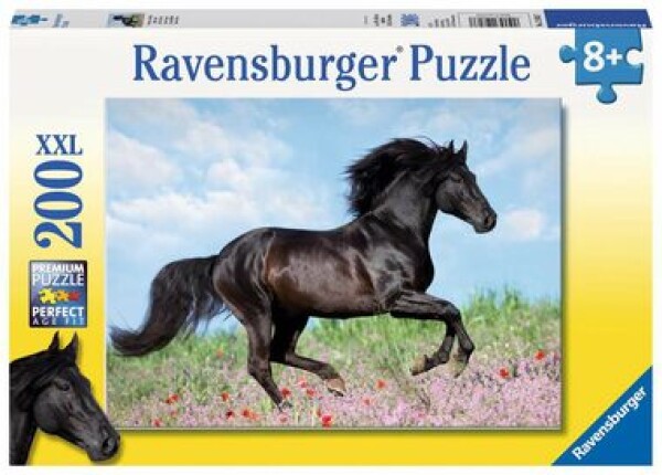 Ravensburger Čierny žrebec