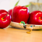 Safari Ltd. Safari Ltd. Kačica