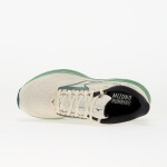 Tenisky Mizuno Wave Rider 29 (M) White/ Bistro Green/ Creme de Me EUR 43