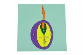 Moyo Montessori Moyo Montessori Puzzle - Semeno