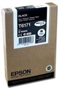 Epson Toner C13T617100 (black)