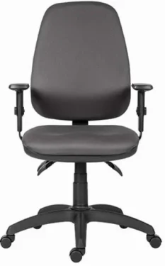Powerton Anna šedá / Kancelárske ergonomické kreslo / nosnosť 120 kg (MKWPANKDCSKA)