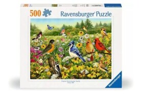 Ravensburger Vtáčia lúka