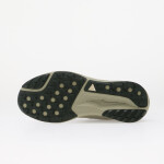 Topánky Nike ACG Pegasus Trail Spruce Fog/ Black Spruce/ Sea Glass 10