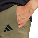 Šortky adidas Essentials Small Logo Cargo Chelsea M JD1827 M