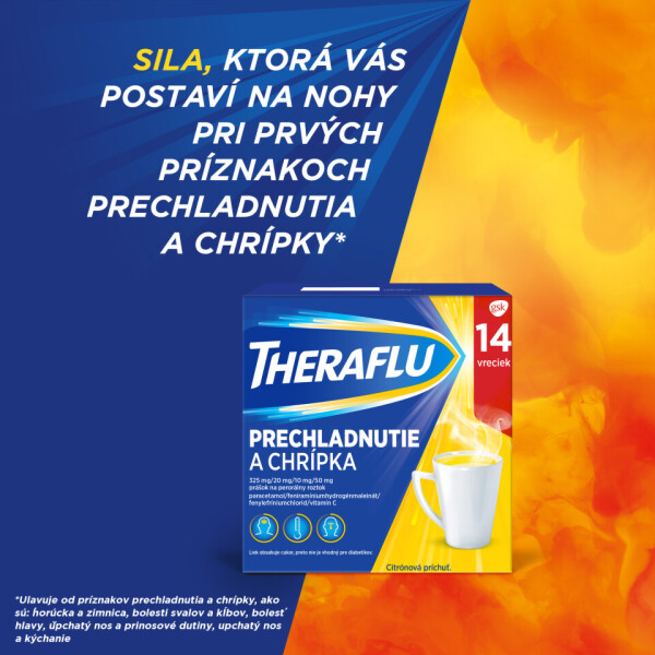 THERAFLU Prechladnutie a chrípka horúci nápoj 14 ks
