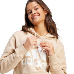 Mikina Adidas Essentials Big Logo Regular Fleece Hoodie IR9330