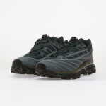 Tenisky Salomon XT-EVO Stormw/ Dark S/ Grape Leaf EUR 43 1/3