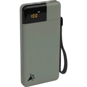 Aqiila Powerbird B10M powerbanka 10000 mAh Li-Pol USB-A, USB-C® machovo zelená; AQPBPBIB5MGR031