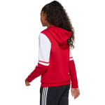 Adidas Squadra 25 Sweat Hoody Jr JD4805 Mikina 152CM