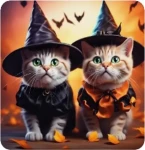 Norimpex Diamantové maľovanie Mačacie Halloween