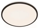 Philips Ozziet CL570 22W čierna / LED stropné svietidlo / 2300lm / 2700K / IP20 / krokové stmievanie / 40cm (SKL000407676)