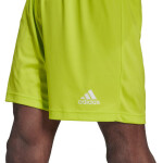 Pánske šortky Entrada 22 Adidas