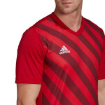 Pánsky dres Entrada 22 Graphic Jersey Adidas