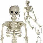 Verk Ľudská kostra skelet 40 cm halloween dekorácie