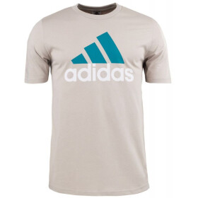 Pánske tričko adidas Big Logo SJ Tee IJ8575