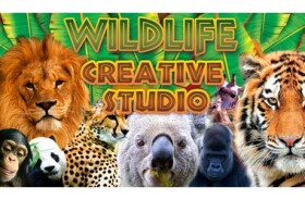 ESD Wildlife Creative Studio / Elektronická licencia pre Steam / Náučná / Určené pre počítač (6904)