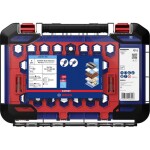 Bosch Accessories 2608901906 2608901906 sada dierovacích píl 1 ks; 2608901906