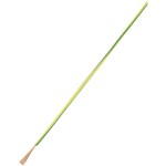 TRU COMPONENTS 1566838 opletenie / lanko, LiY, 1 x 0.75 mm², zelená, žltá, 10 m; 1566838
