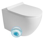 AQUALINE - CARLO závesná WC misa, Vortex Rimless, 36x53cm, biela PRX.101.851