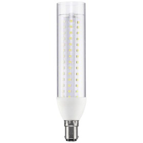 Paulmann 28891 LED En.trieda 2021 E (A - G) B15d žiarivkový tvar 9.5 W = 75 W neutrálna biela (Ø x v) 36 mm x 165 mm 1 ks; 28891