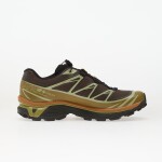Tenisky Salomon XT-6 GTX Delicioso/ Tea/ Plantation EUR 47 1/3