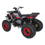 Mamido Detská benzínová štvorkolka RamiGO MONSTER 200CC čierno-červená