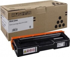 Ricoh 407531 Black Originál (407531)