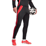 Nohavice adidas Tiro 24 Slim Training M JP2489 S
