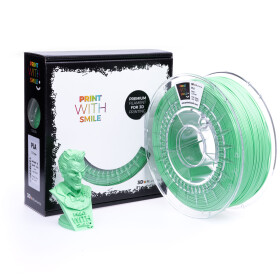 PLA filament light green 1,75 mm Print With Smile 0,5 kg