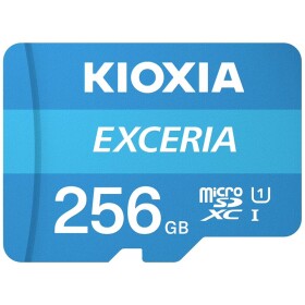 KIOXIA Exceria Class 10 256 GB LMEX1L256GG2