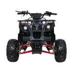 Mamido Detská benzínová štvorkolka RamiGO WILDPEAK 110CC čierno-červená