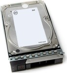 Dell 12TB 3.5'' SAS-3 (12Gb/s) (161-BCJX)
