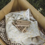 Strömshaga Drevené štipce na bielizeň Natural – set 10 ks