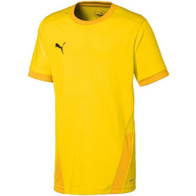 Dres Puma teamGOAL 23 Jr 704160 07